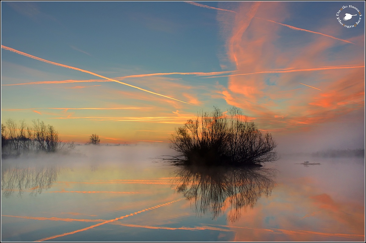 La ...Nebbia che Divide