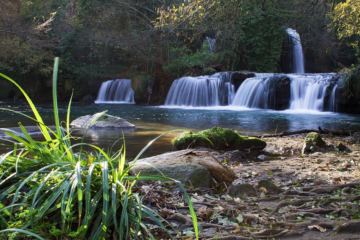 cascades of mountain ice cream