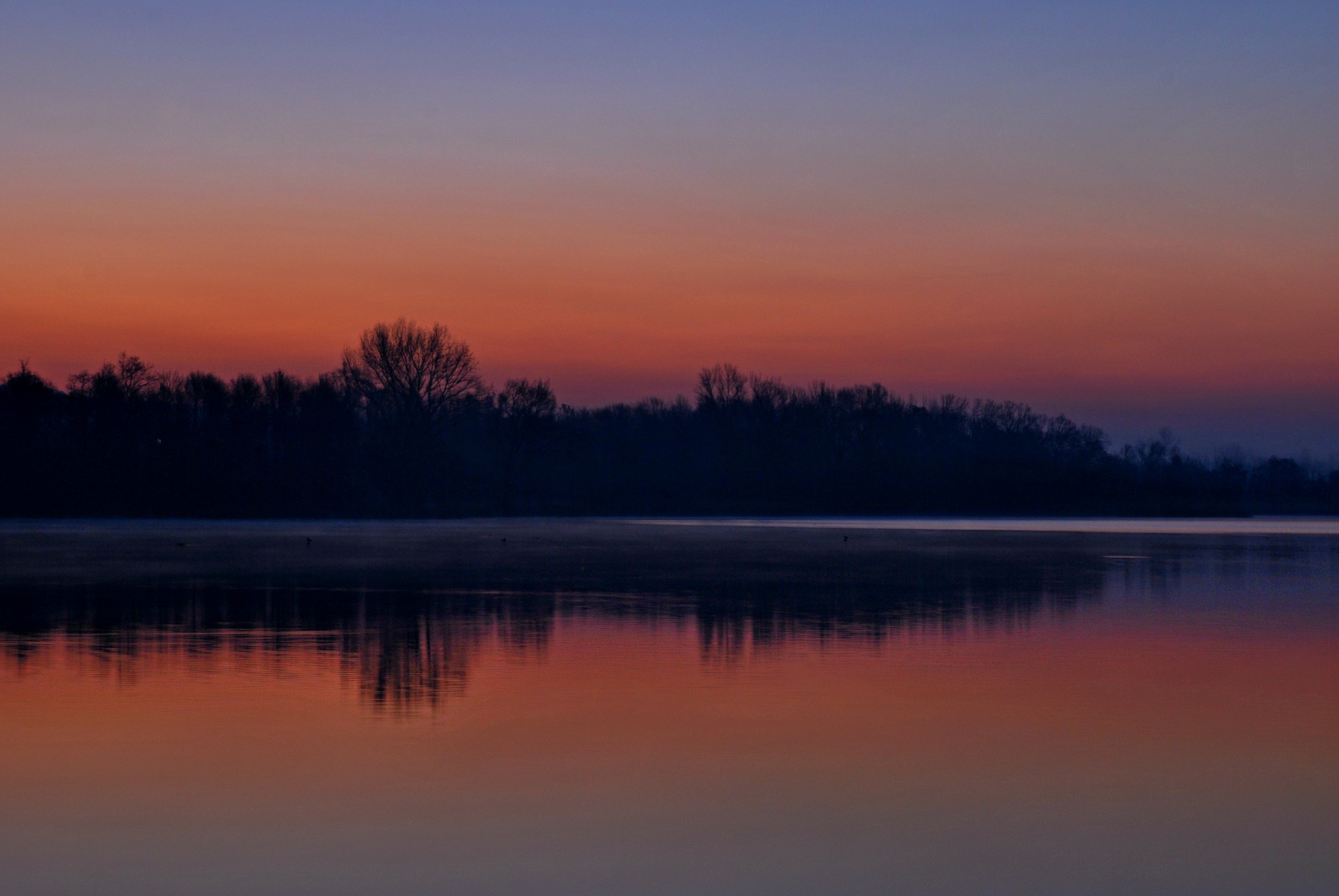 Sunrise, sunrise! Looks like mornin' in your eyes!