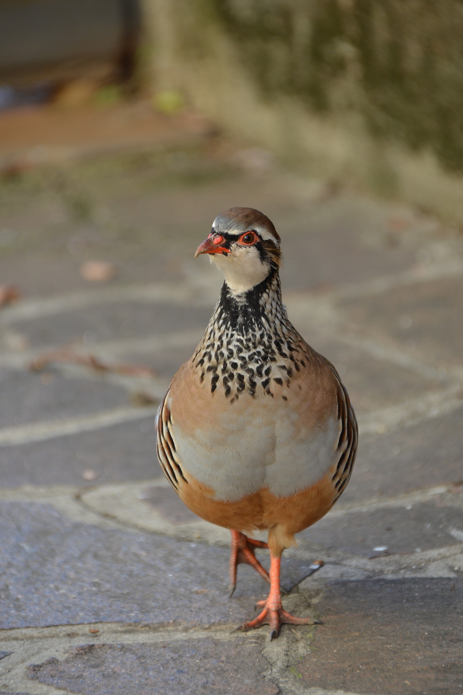 Passed for the event ...........