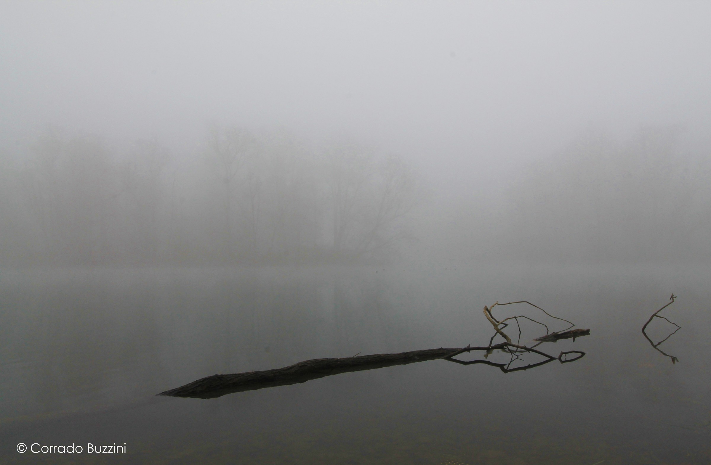 Nebbia fiume Adda localita Bocchi