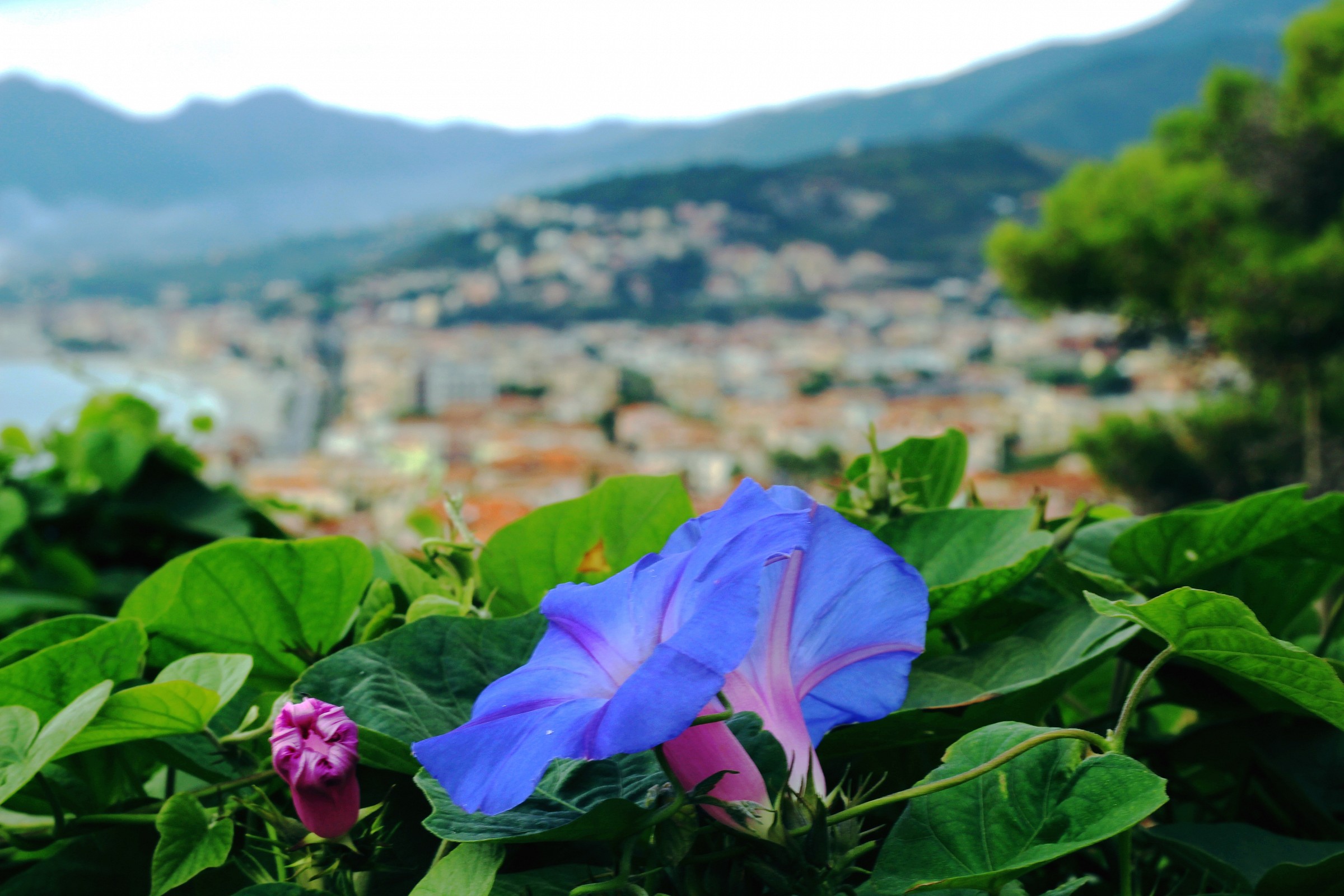 Walk towards Verezzi