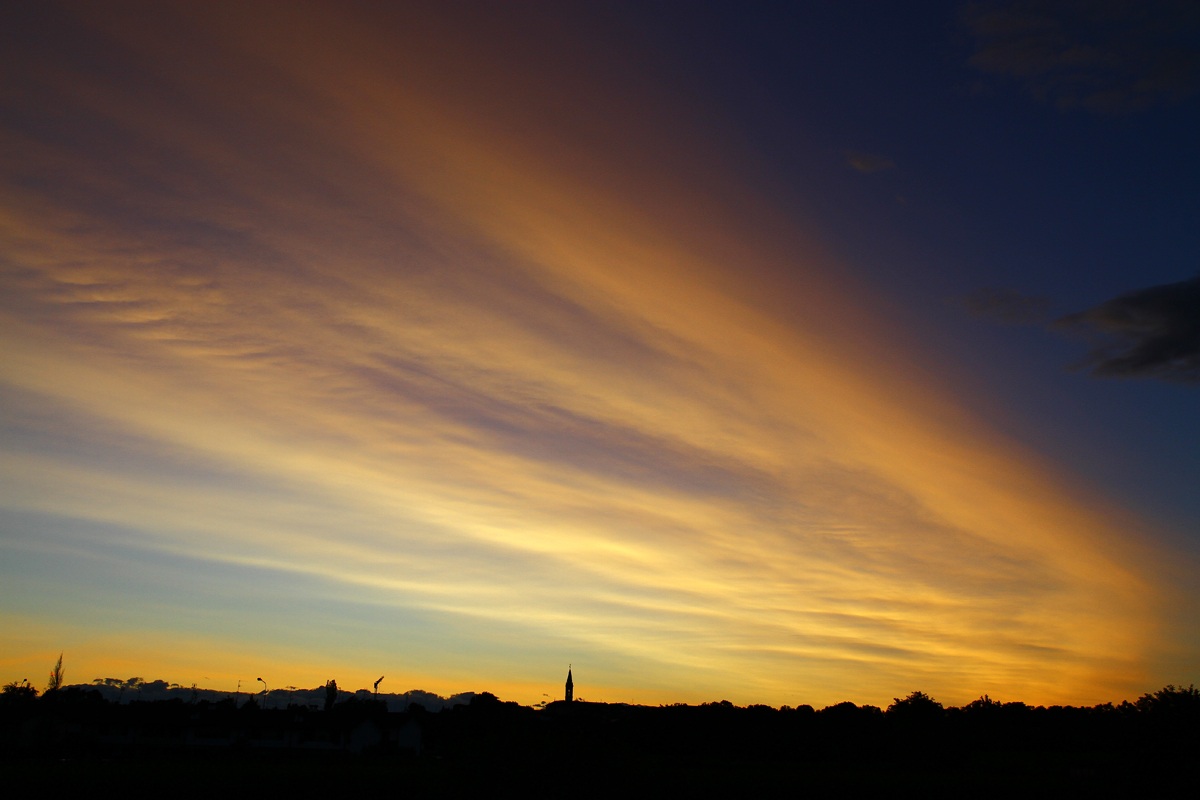 trasmonto a cermenate co