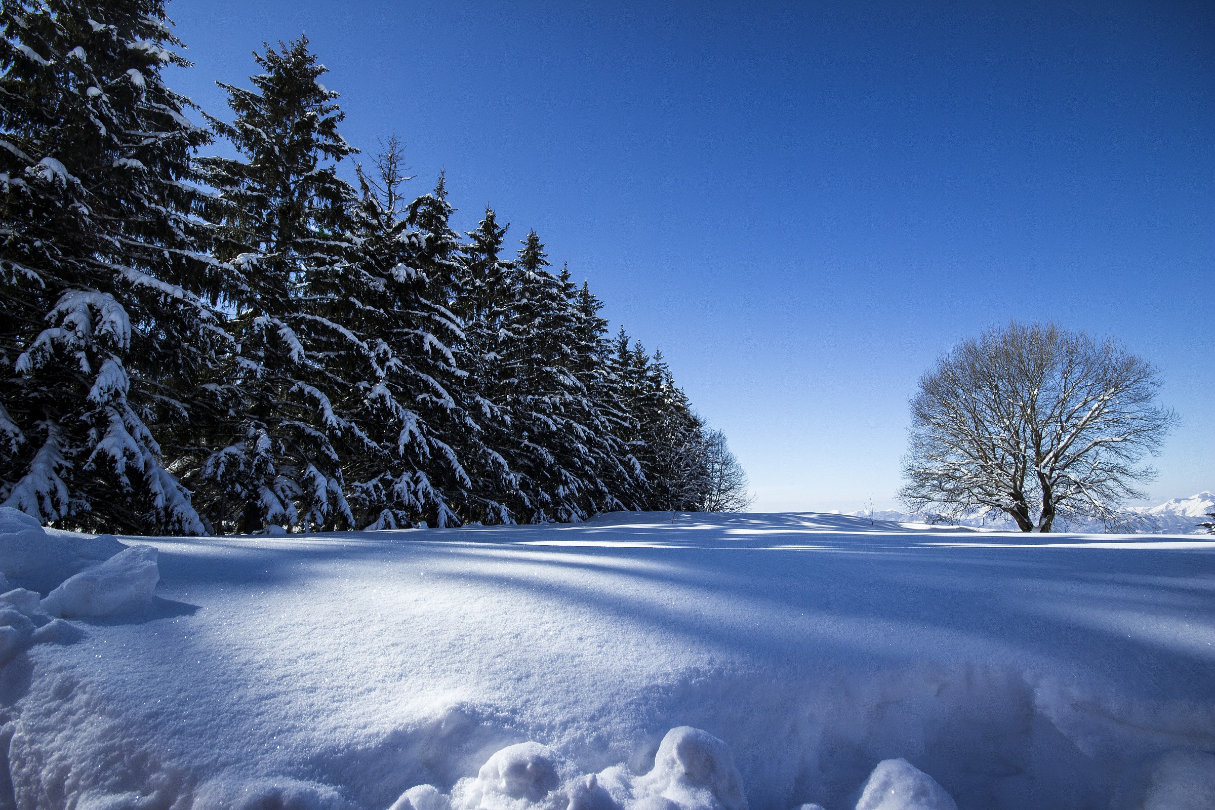 Better to be alone or accompanied?