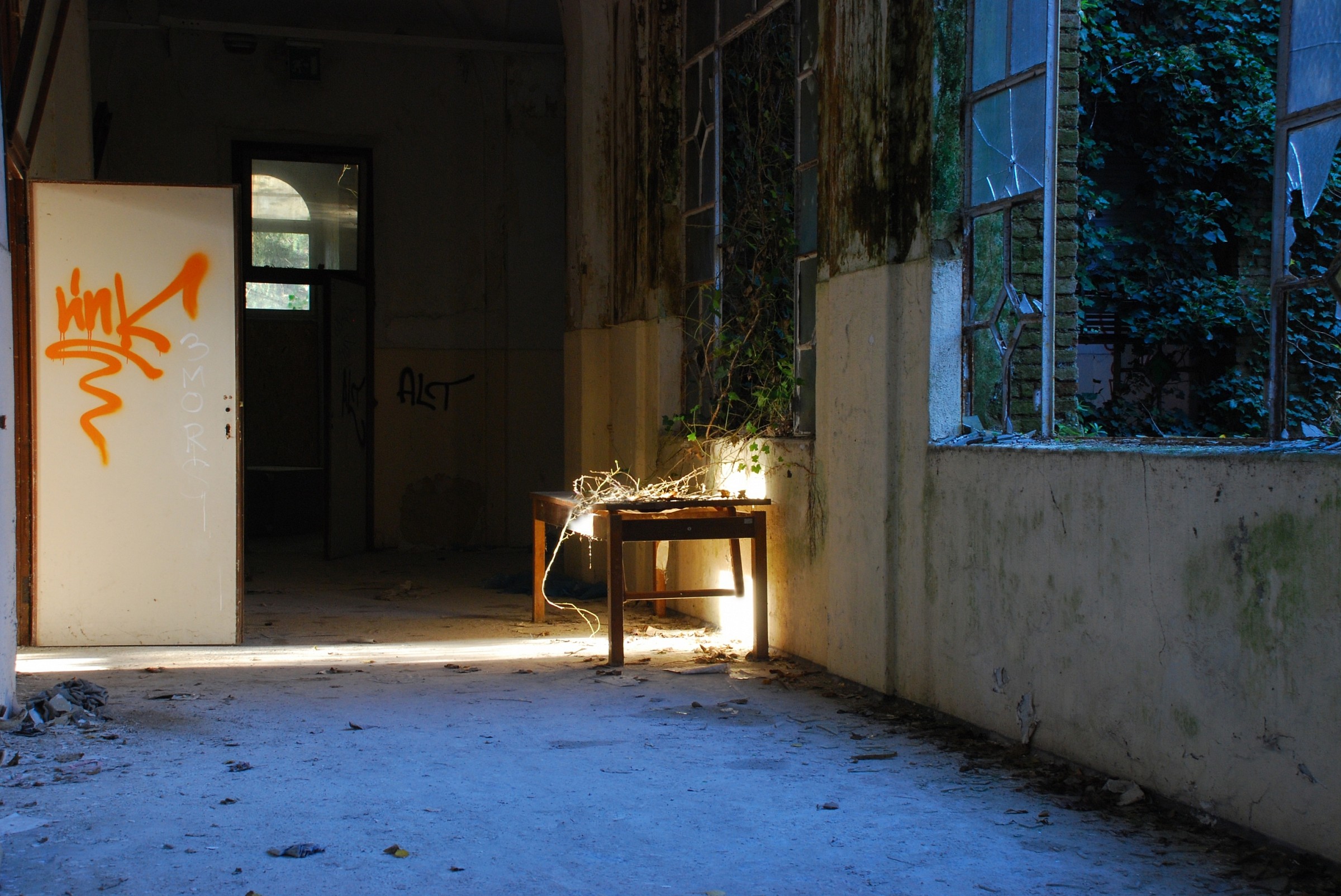 One glimmer of light in the darkness