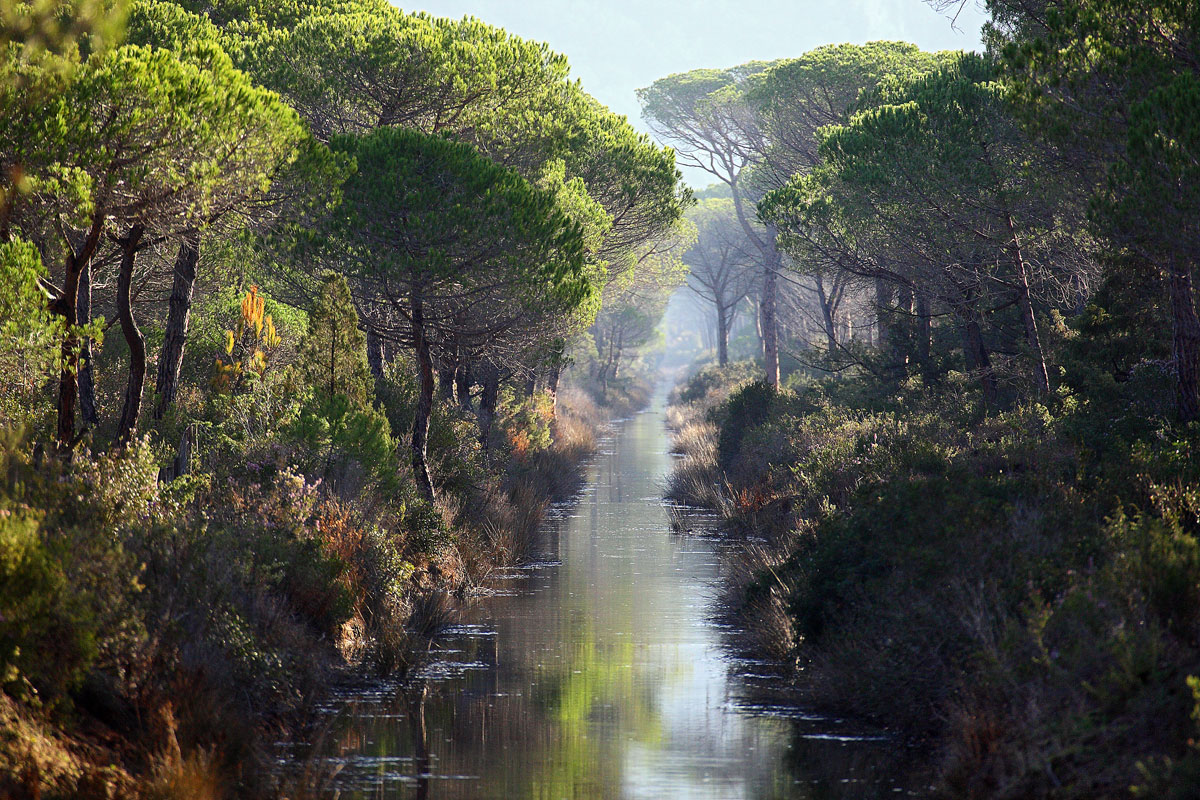 Canale in Maremma