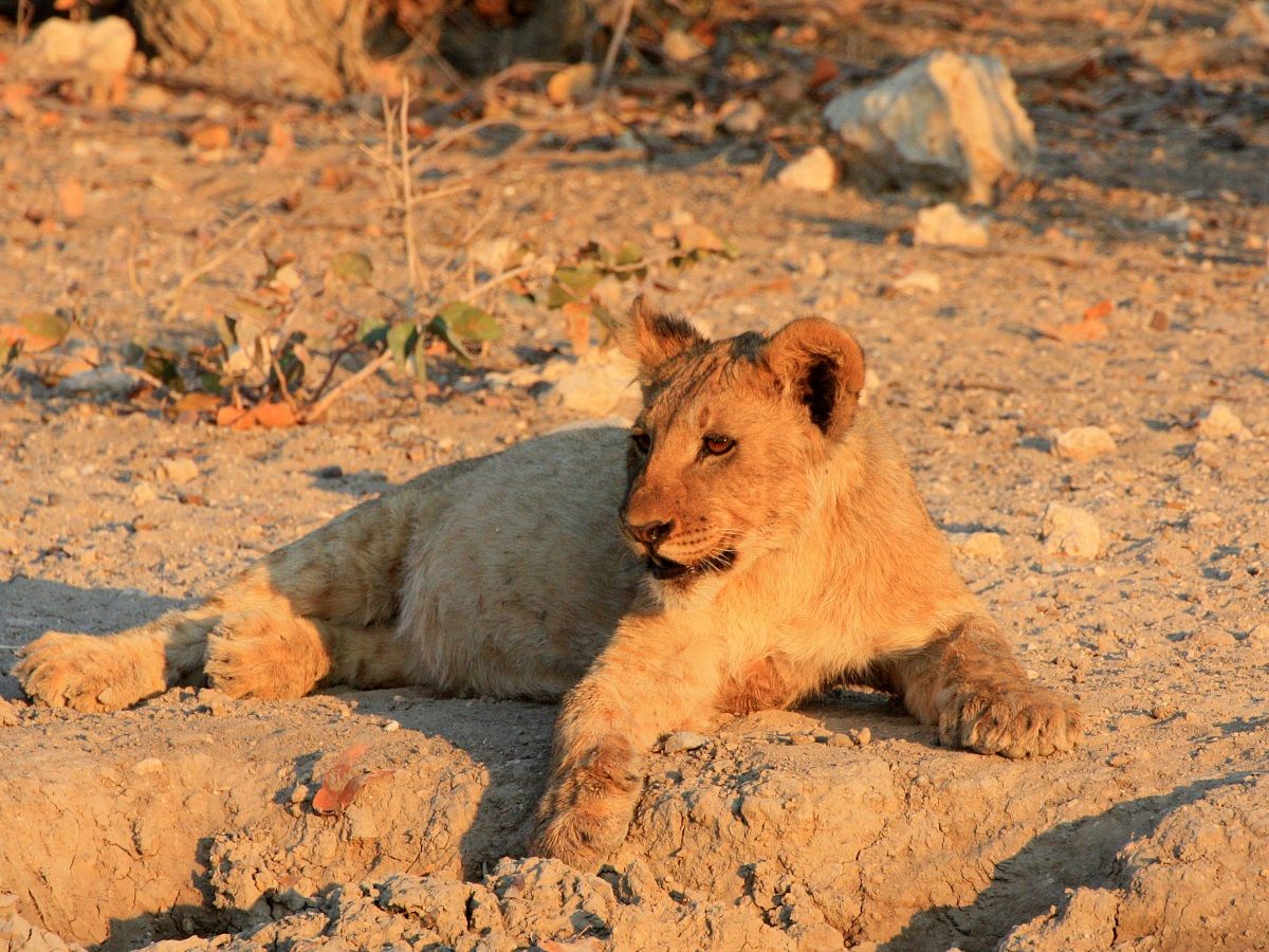 Abbagliato dal sole al tramonto