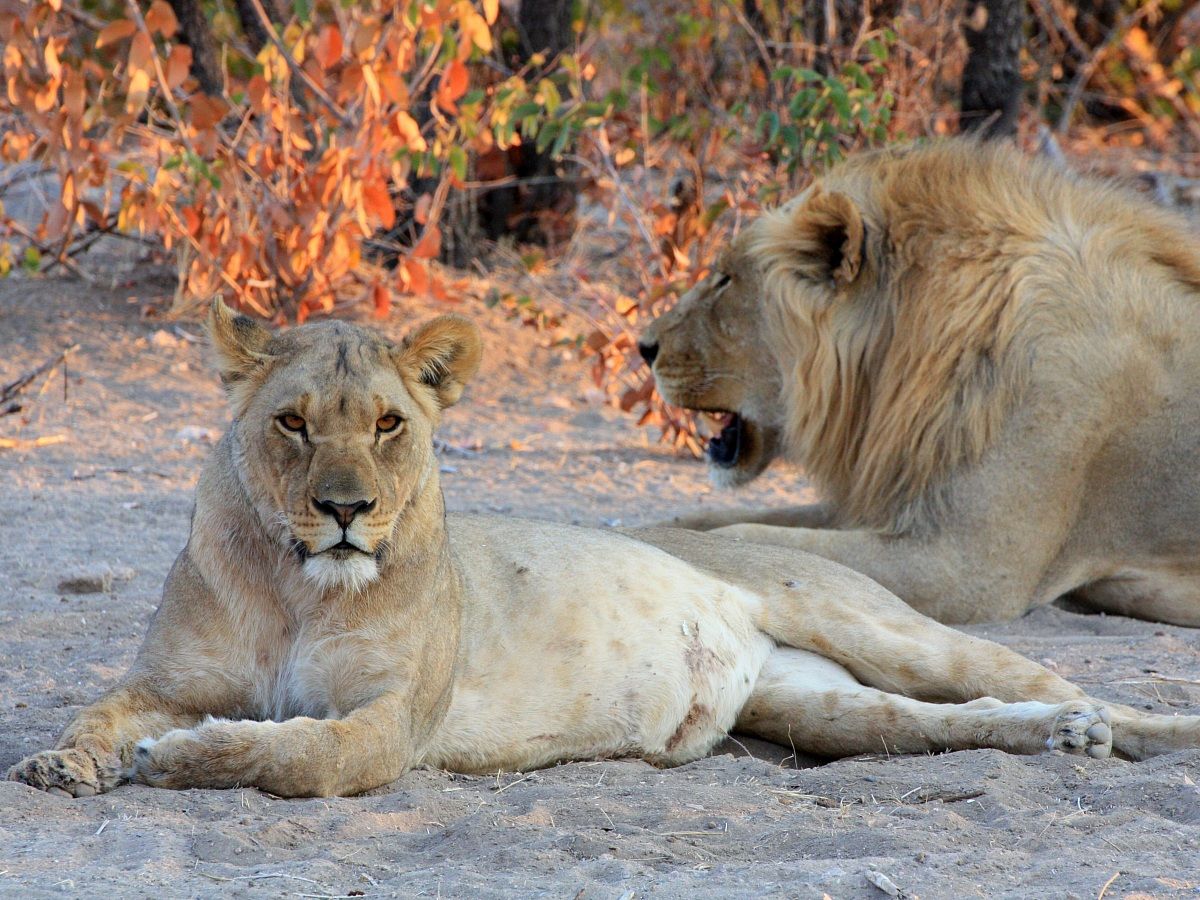Niente scherzi... ti tengo d'occhio!