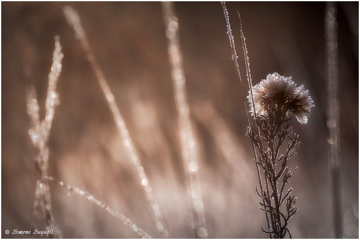 Let it warm up a bit