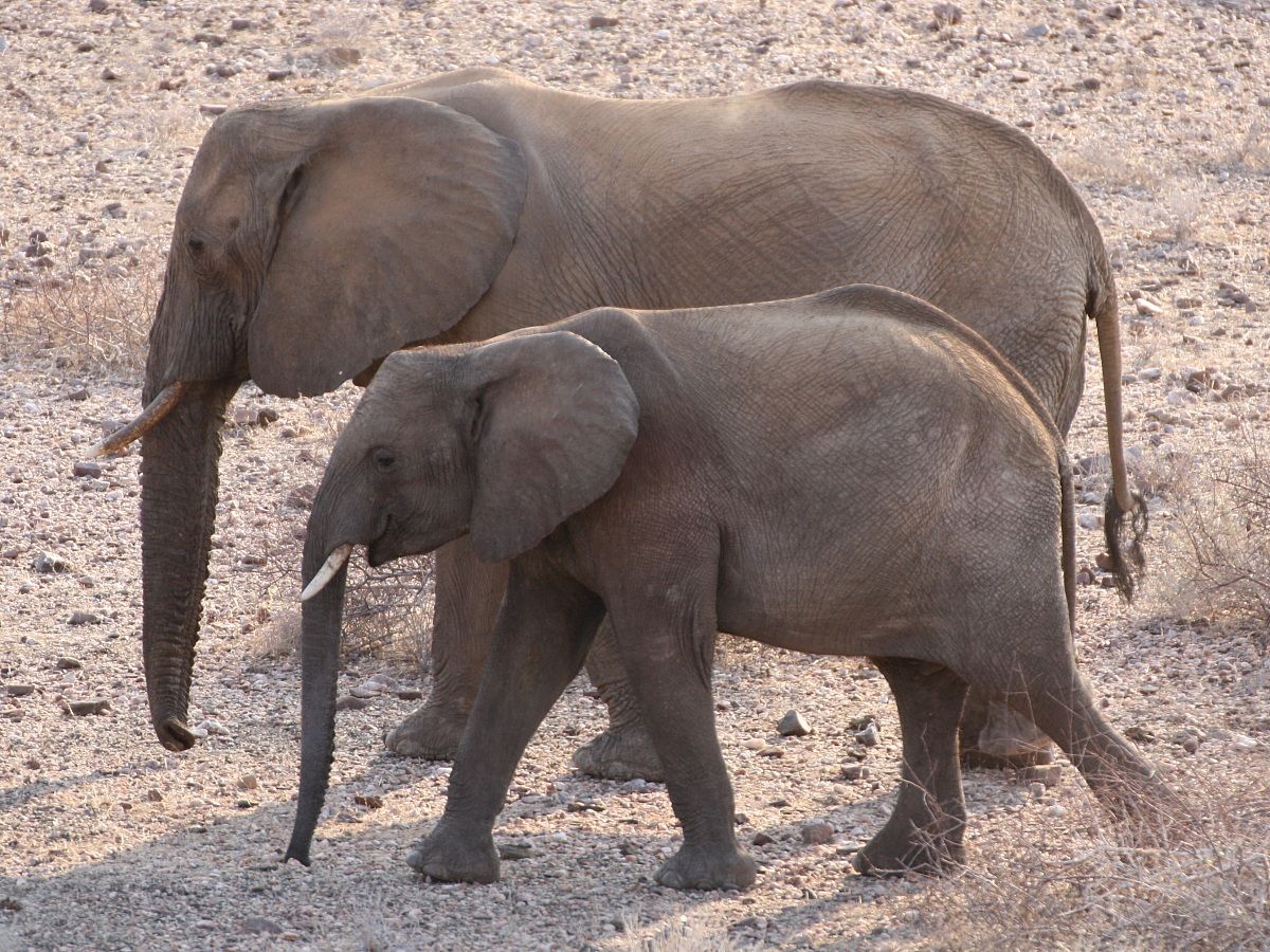 La coppia più bella del mondo