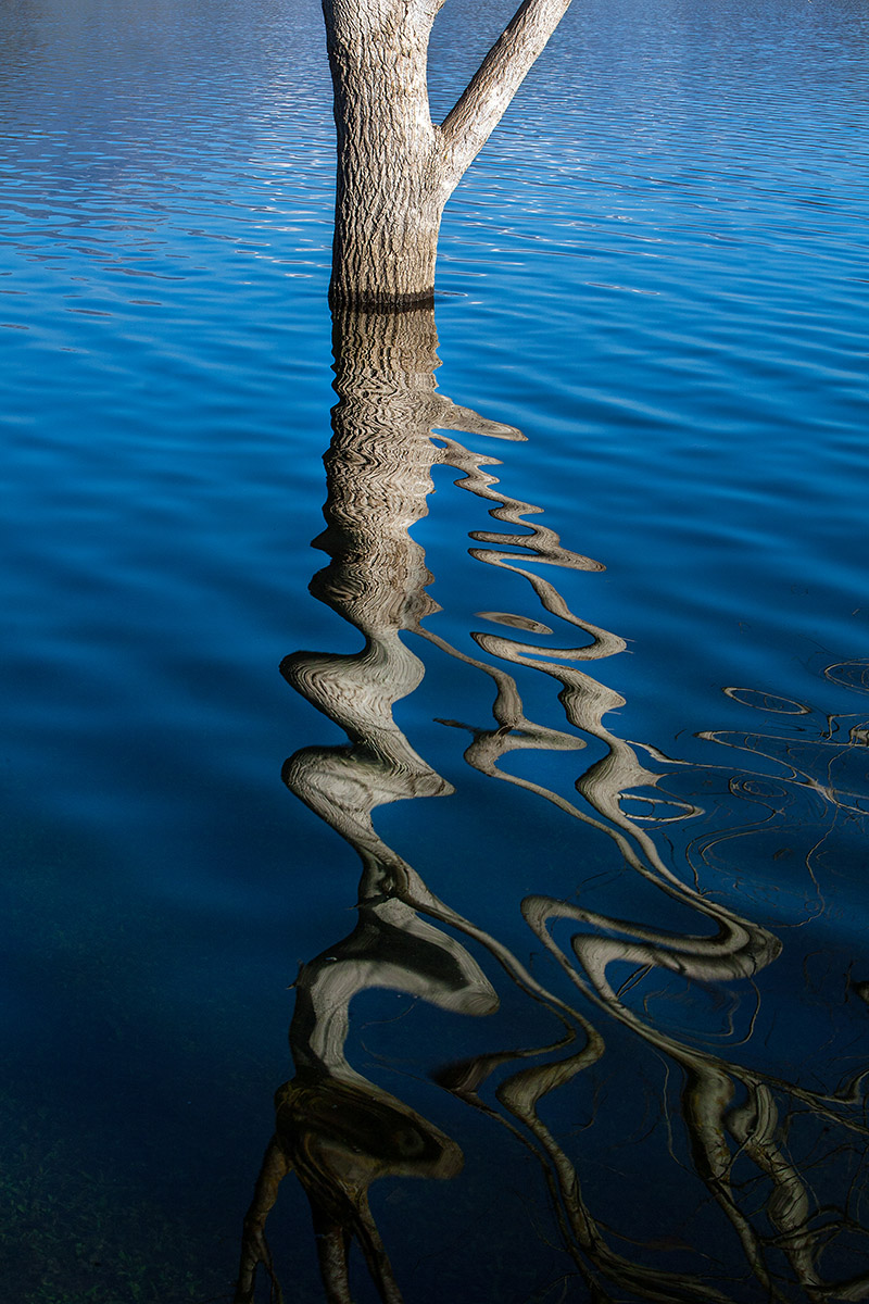 Reflections ... oni!