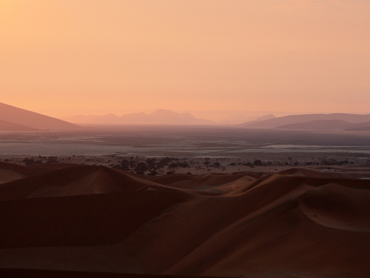 Namib-Naukluft Nat'l Park - alba dalla duna
