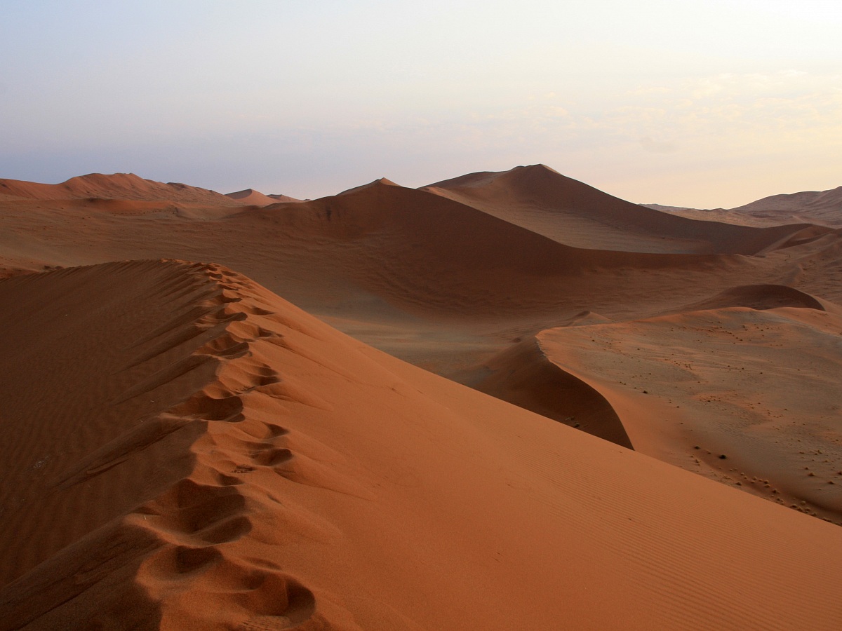 Namib-Naukluft Nat'l Park - alba dalla duna