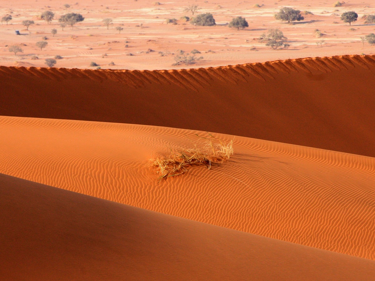 Namib-Naukluft Nat'l Park - vista dalla duna