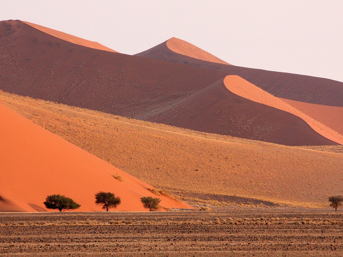 Namib-Naukluft National Park - paesaggio con dune