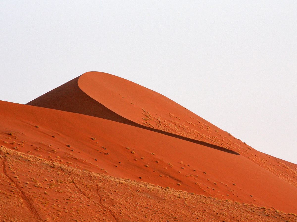 Namib-Naukluft National Park - Duna 45