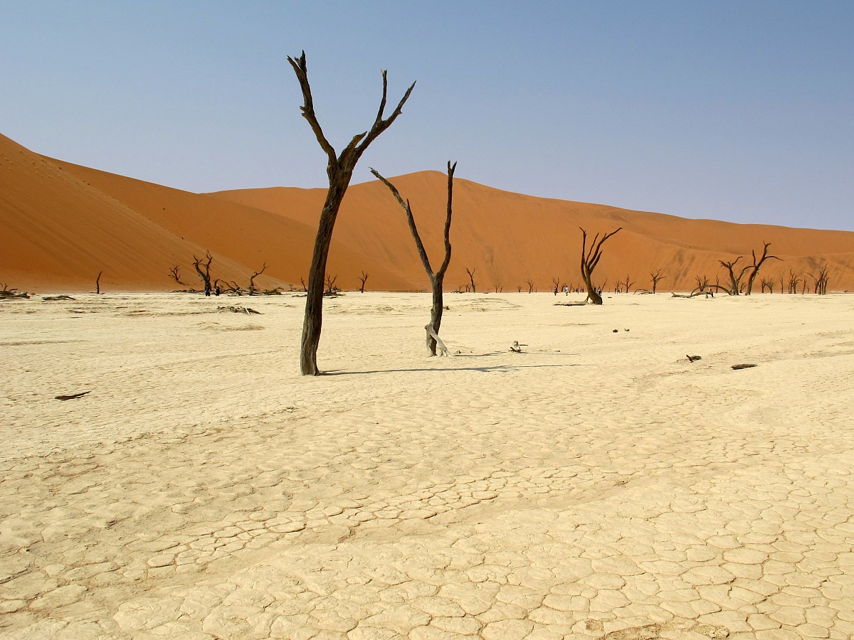 Namib-Naukluft National Park - Dead Vlei
