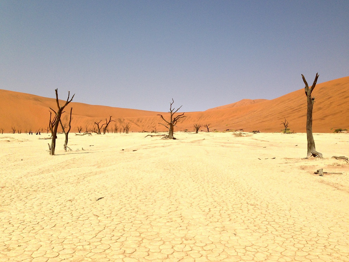 Namib-Naukluft National Park - Dead Vlei