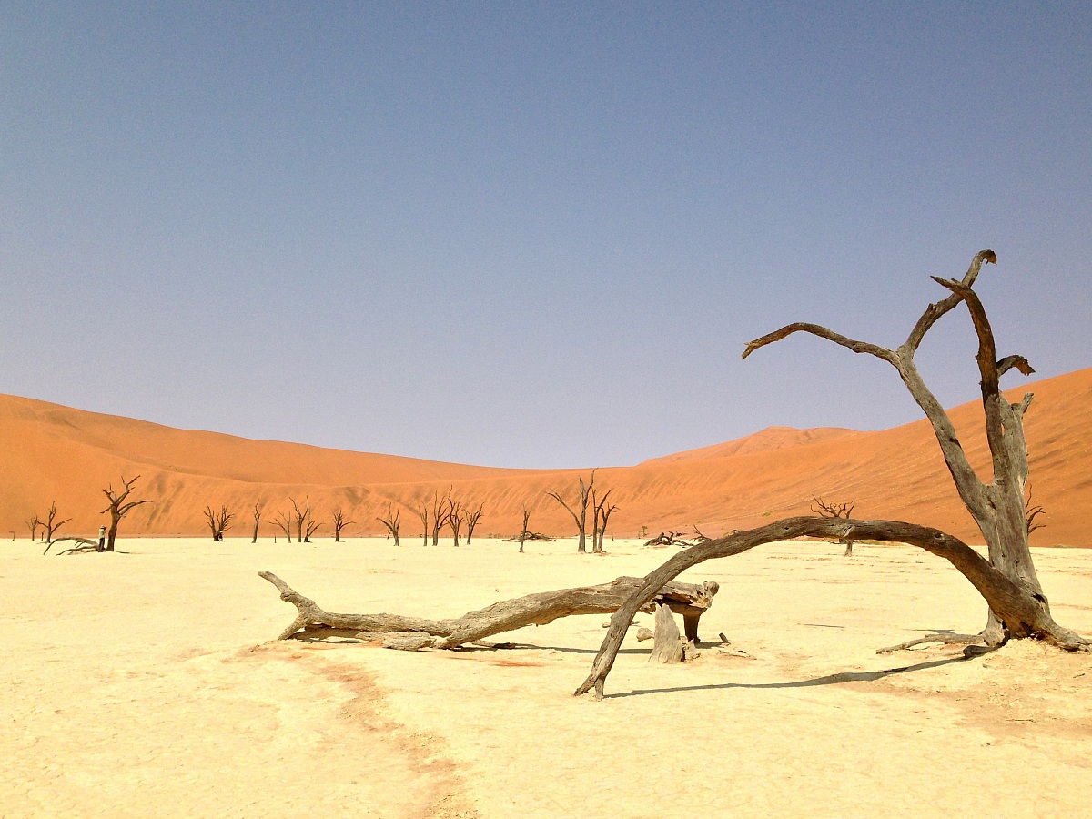 Namib-Naukluft National Park - Dead Vlei