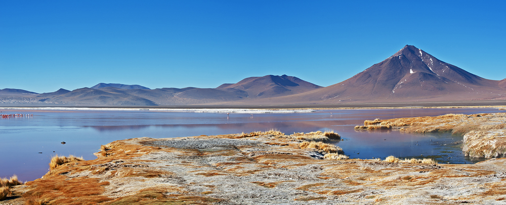 Laguna Colorada