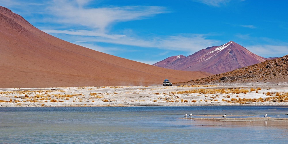 Laguna Salgada