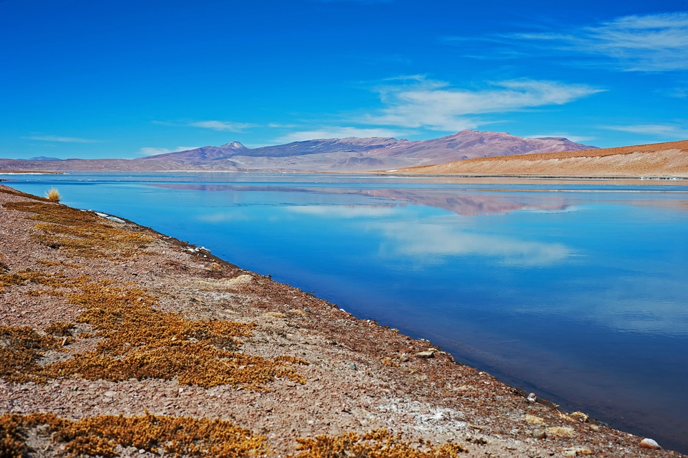 Laguna Salgada