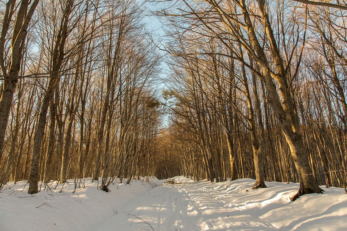 Il Ceppo - Monti della Laga