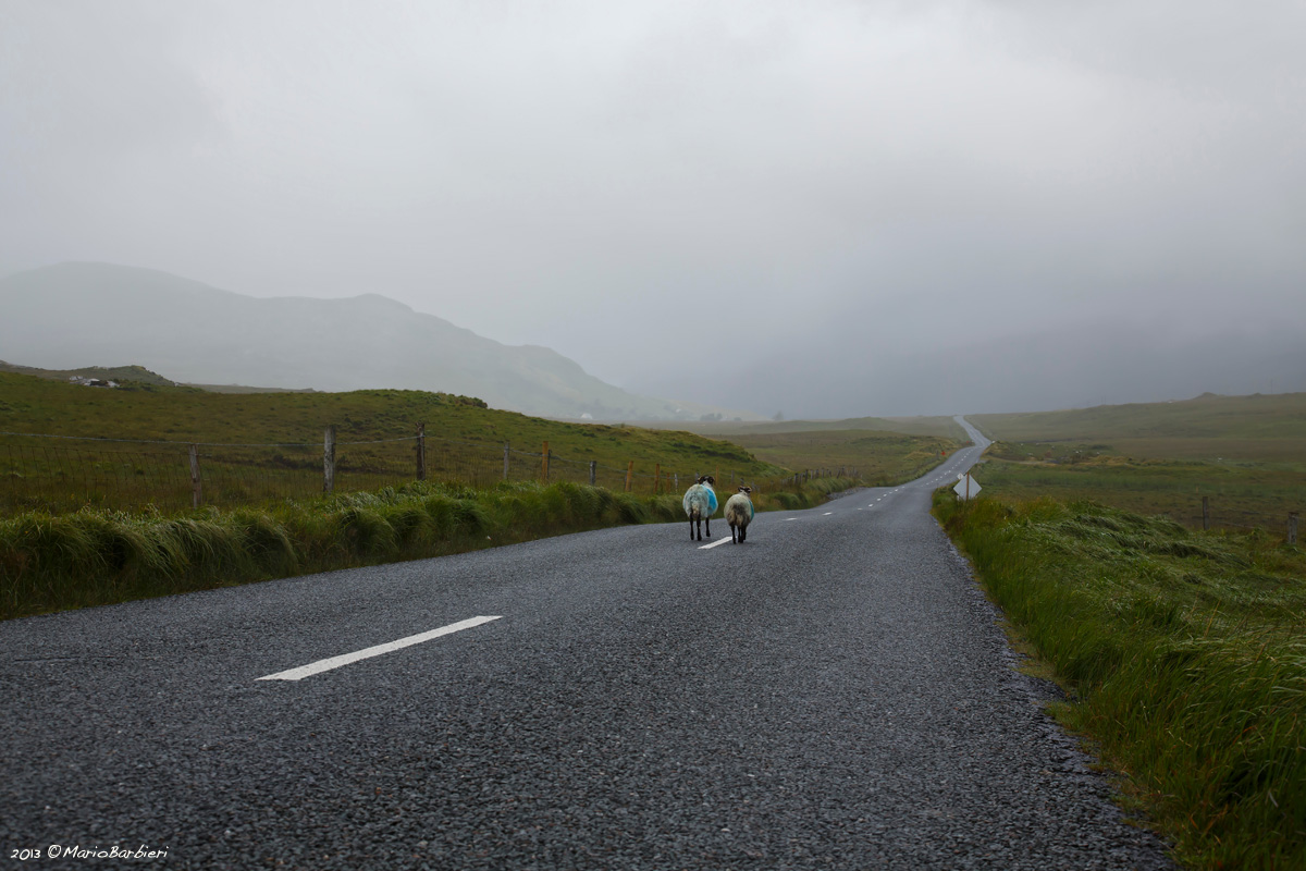 Connemara - Ireland