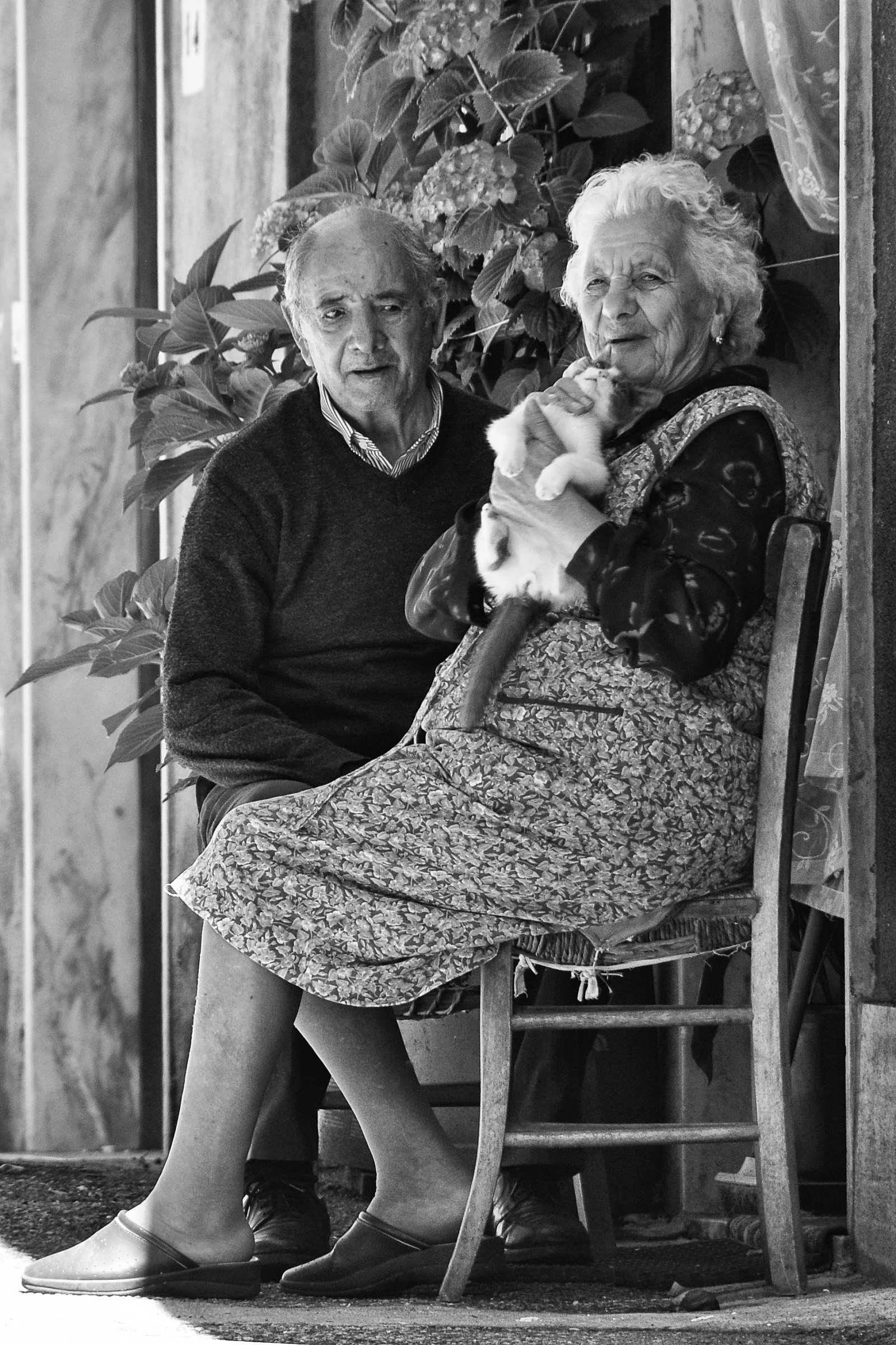 Mary, Alexander and the Pussy.