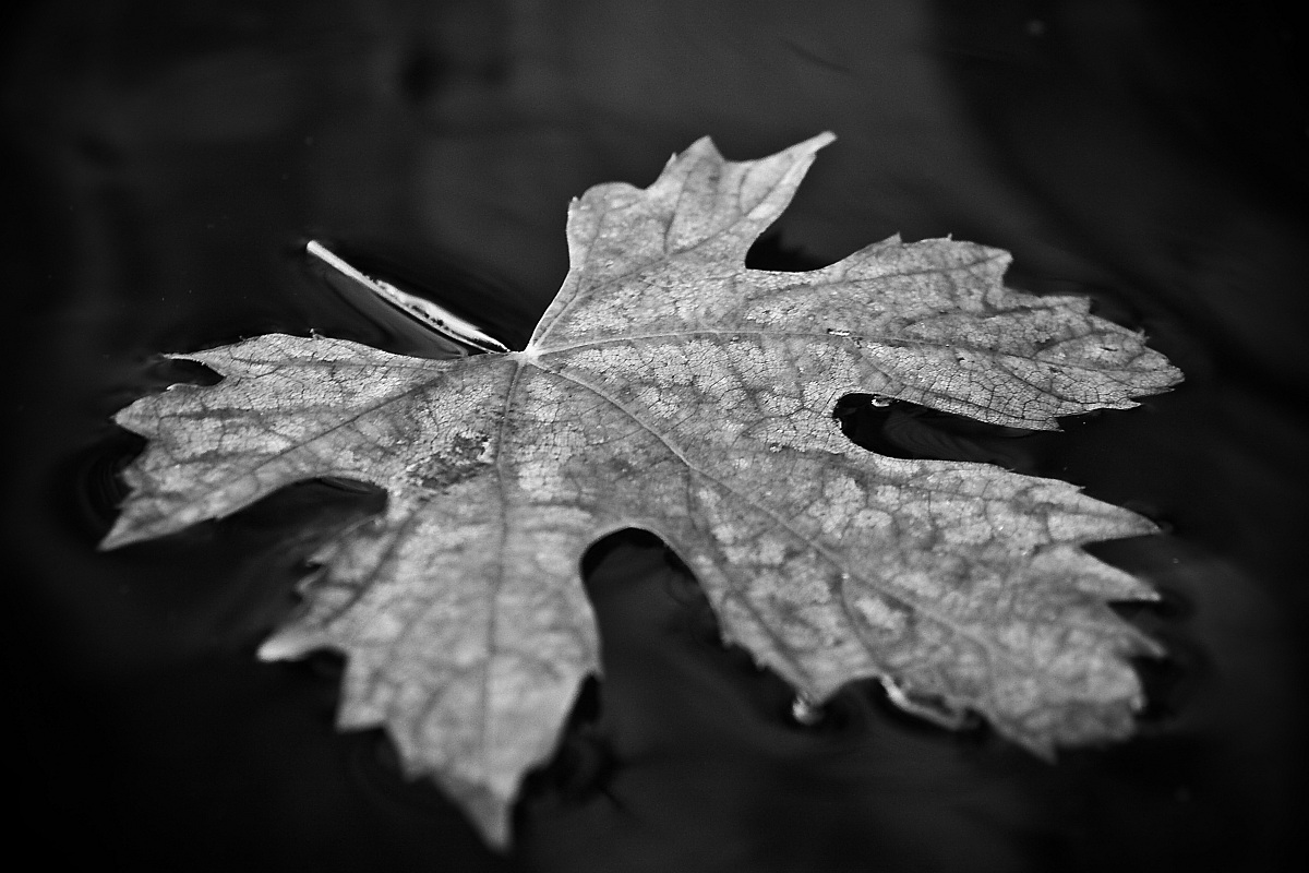 The winter coming ...