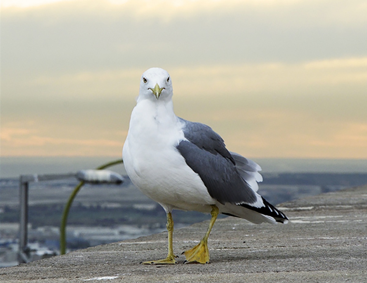 What are you watching?