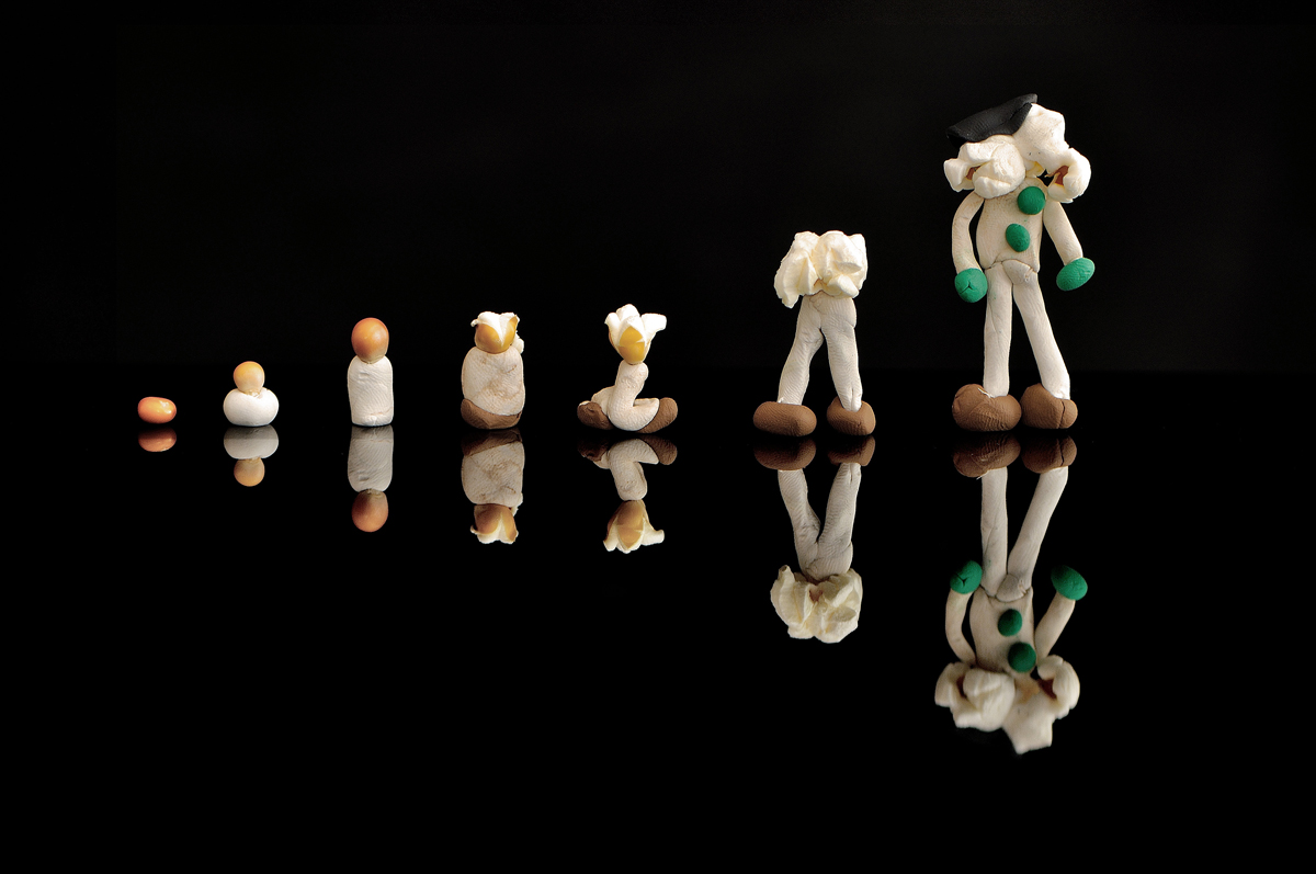 Evoluzuine Cervellotica