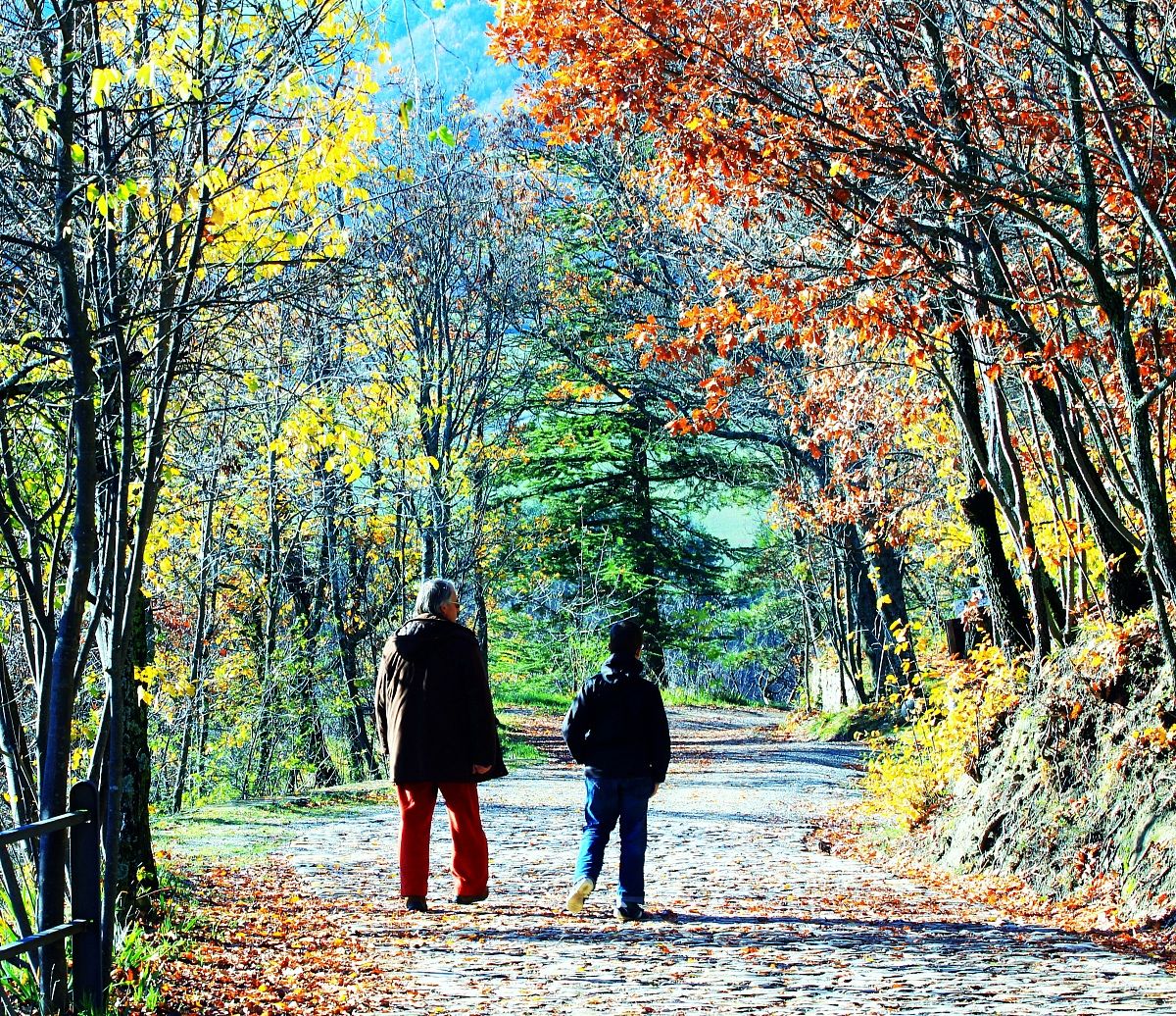 The colors of autumn