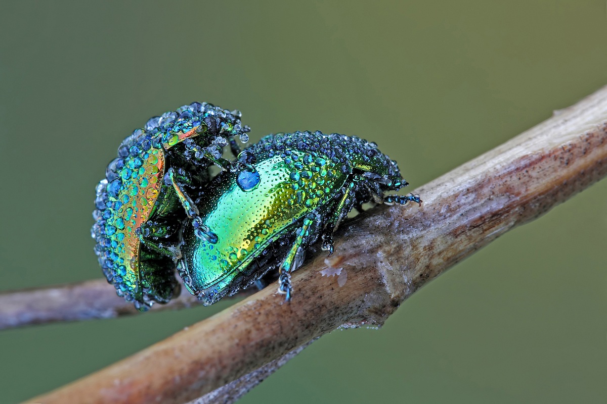 ....Mi Dai Un Passaggio ????