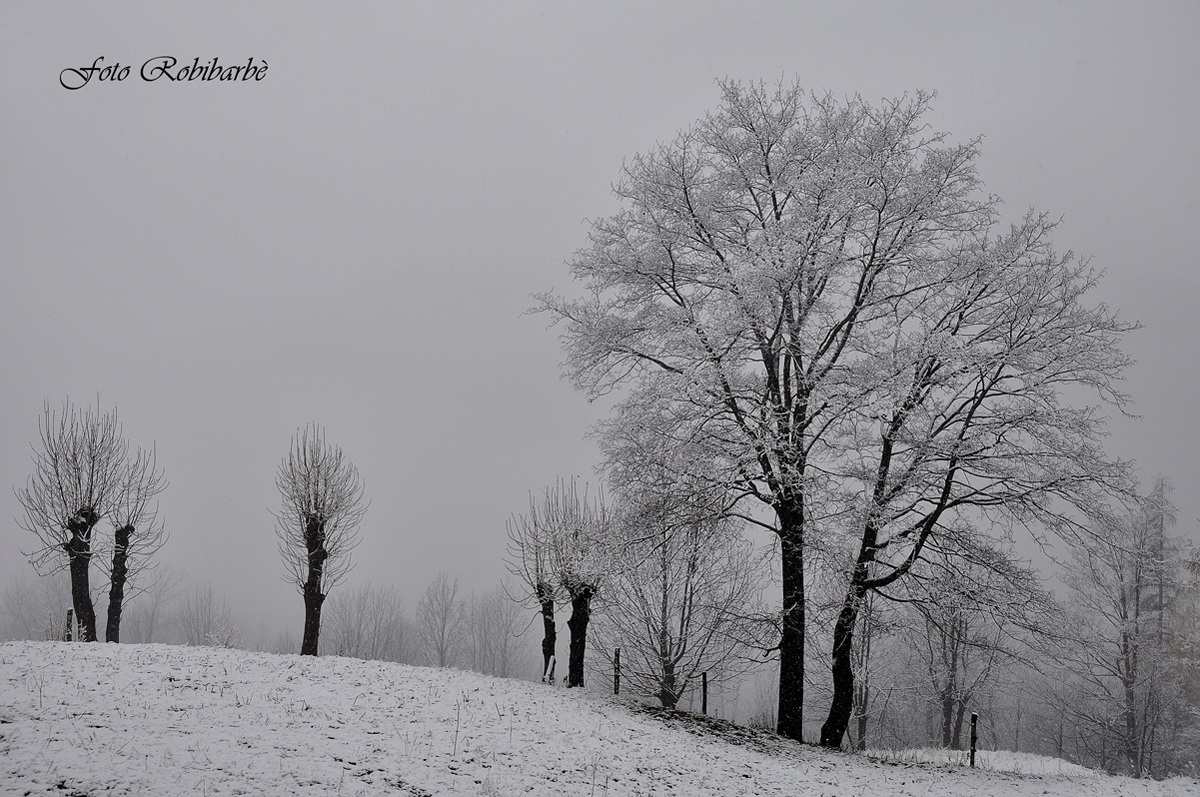 Sta arrivando il .....Generale ....