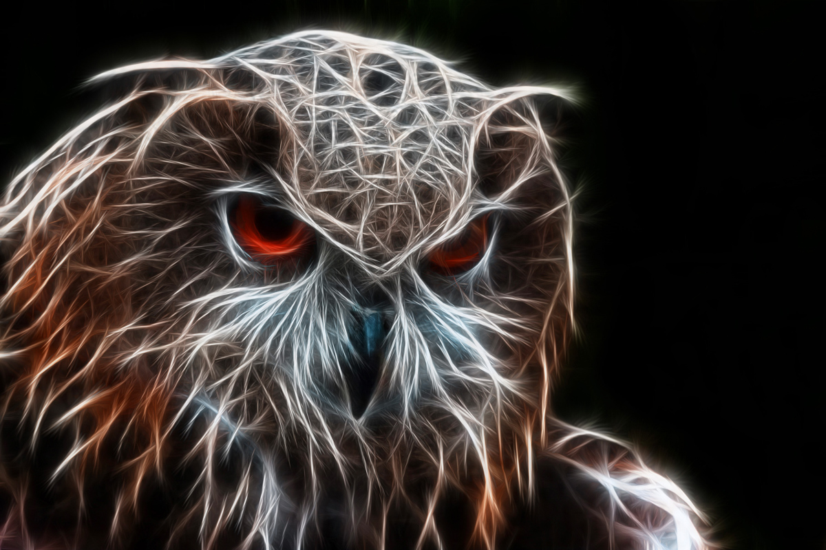 Electric Owl