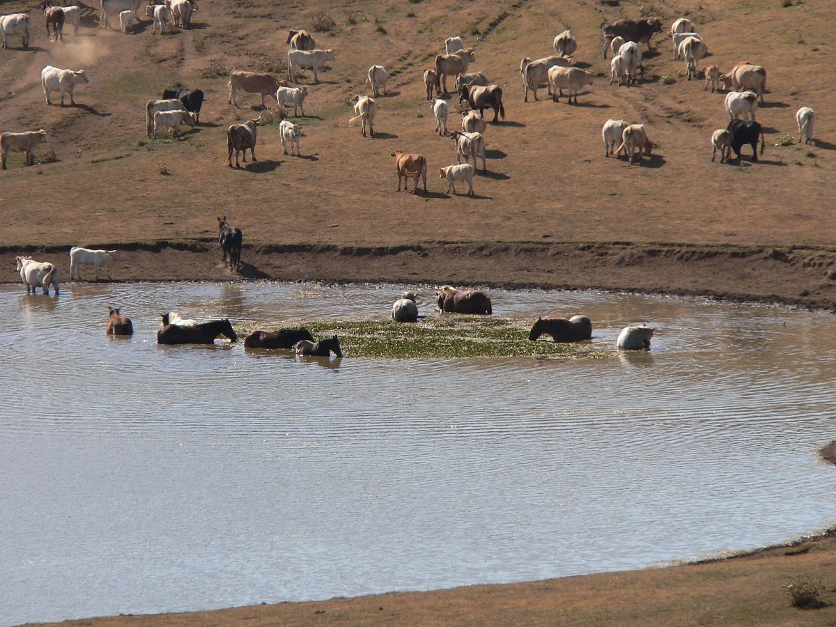 Prima che tramonti il Sole