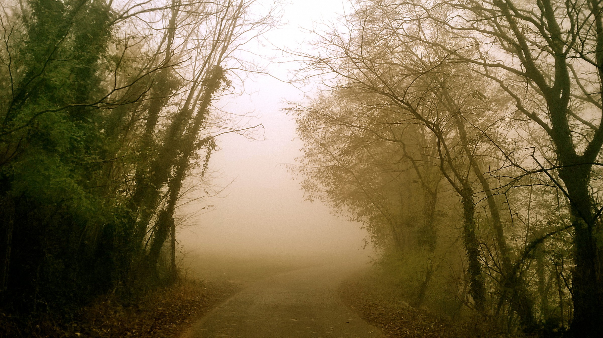 Paesaggio di campagna