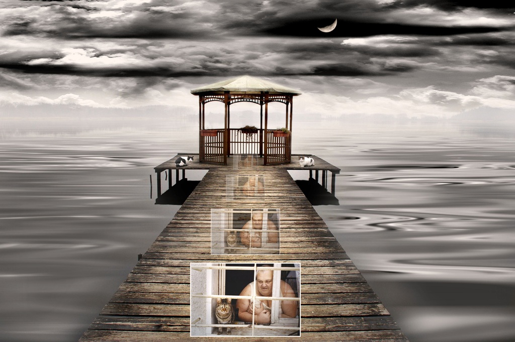 dedicated to Piero who loved cats