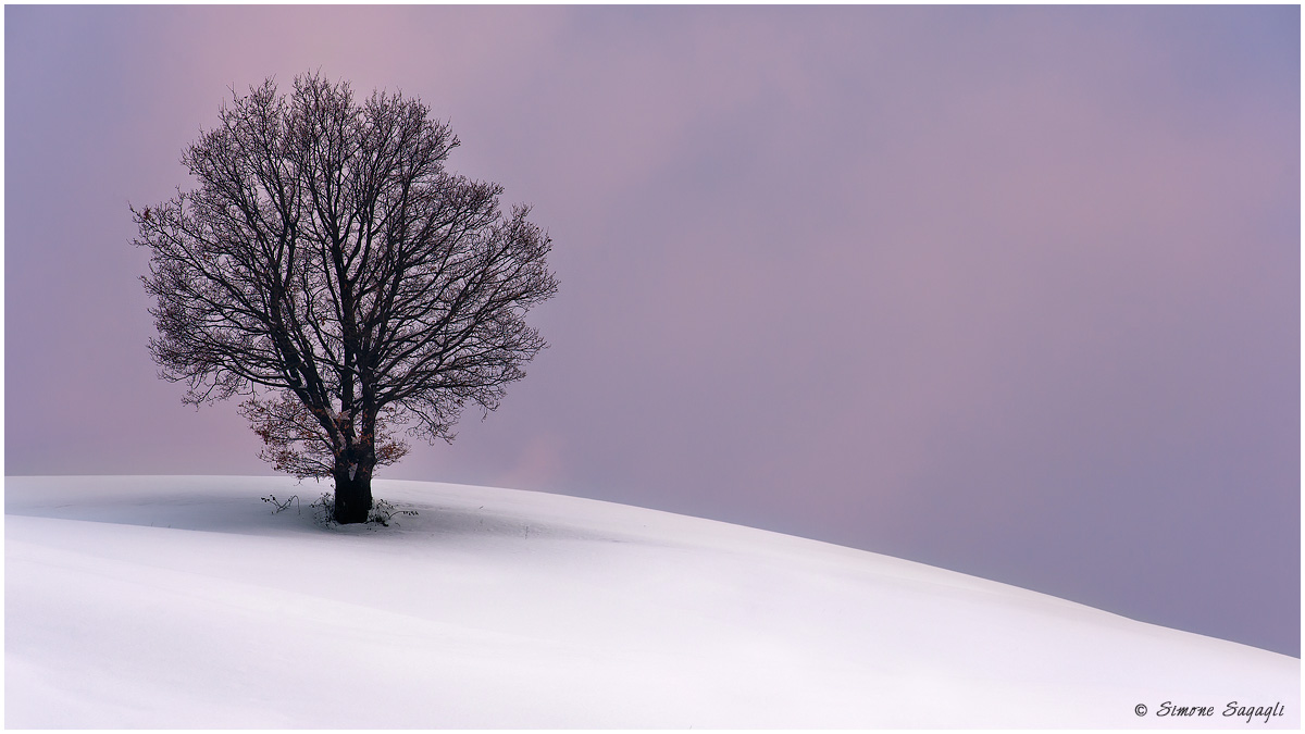 The winter mellows me