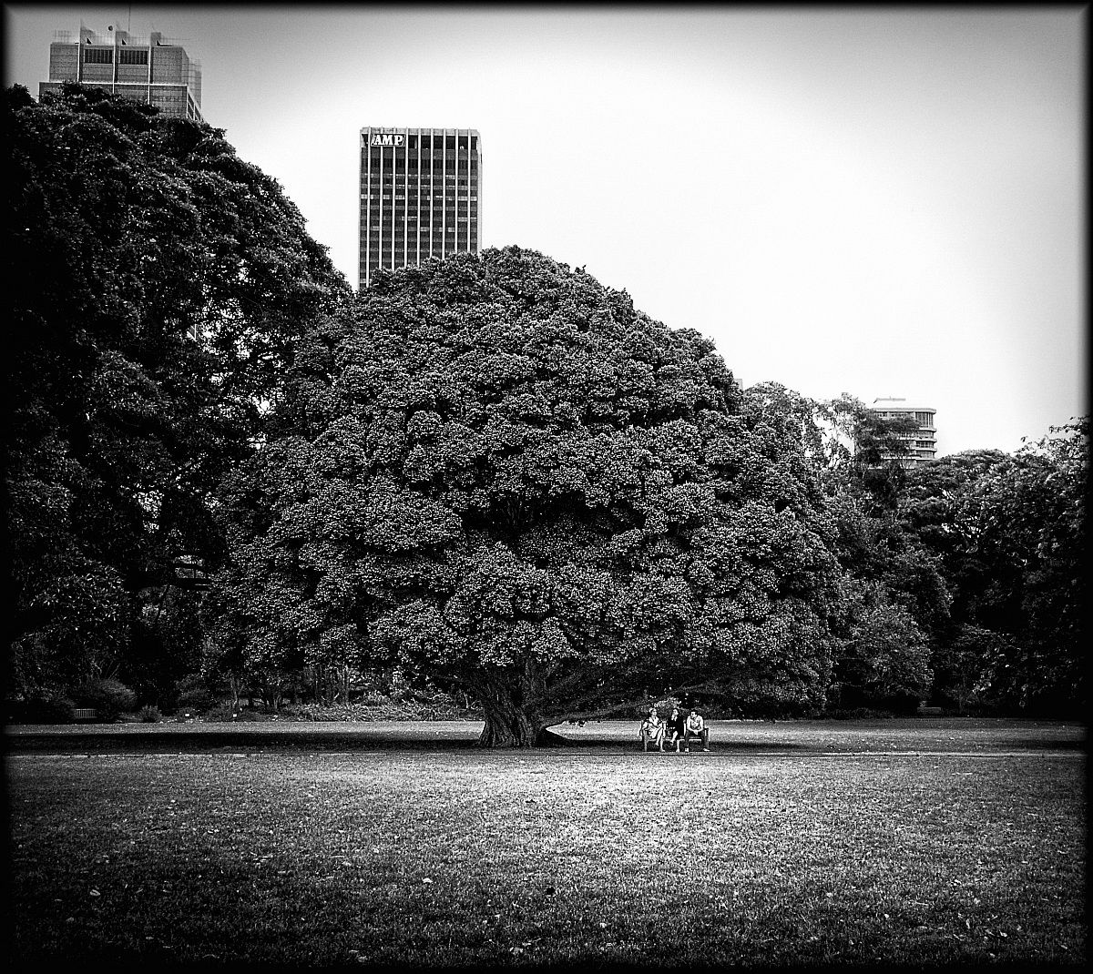 Sydney, Royal Botanic Garden