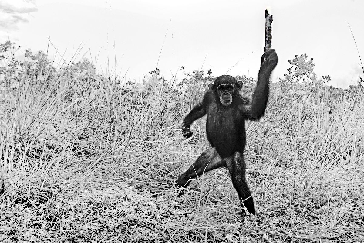 2013 A Space Odyssey