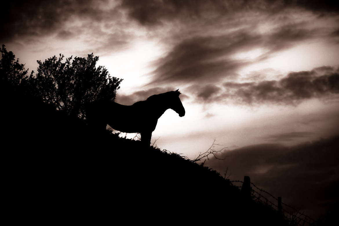 Tomorrow is another day