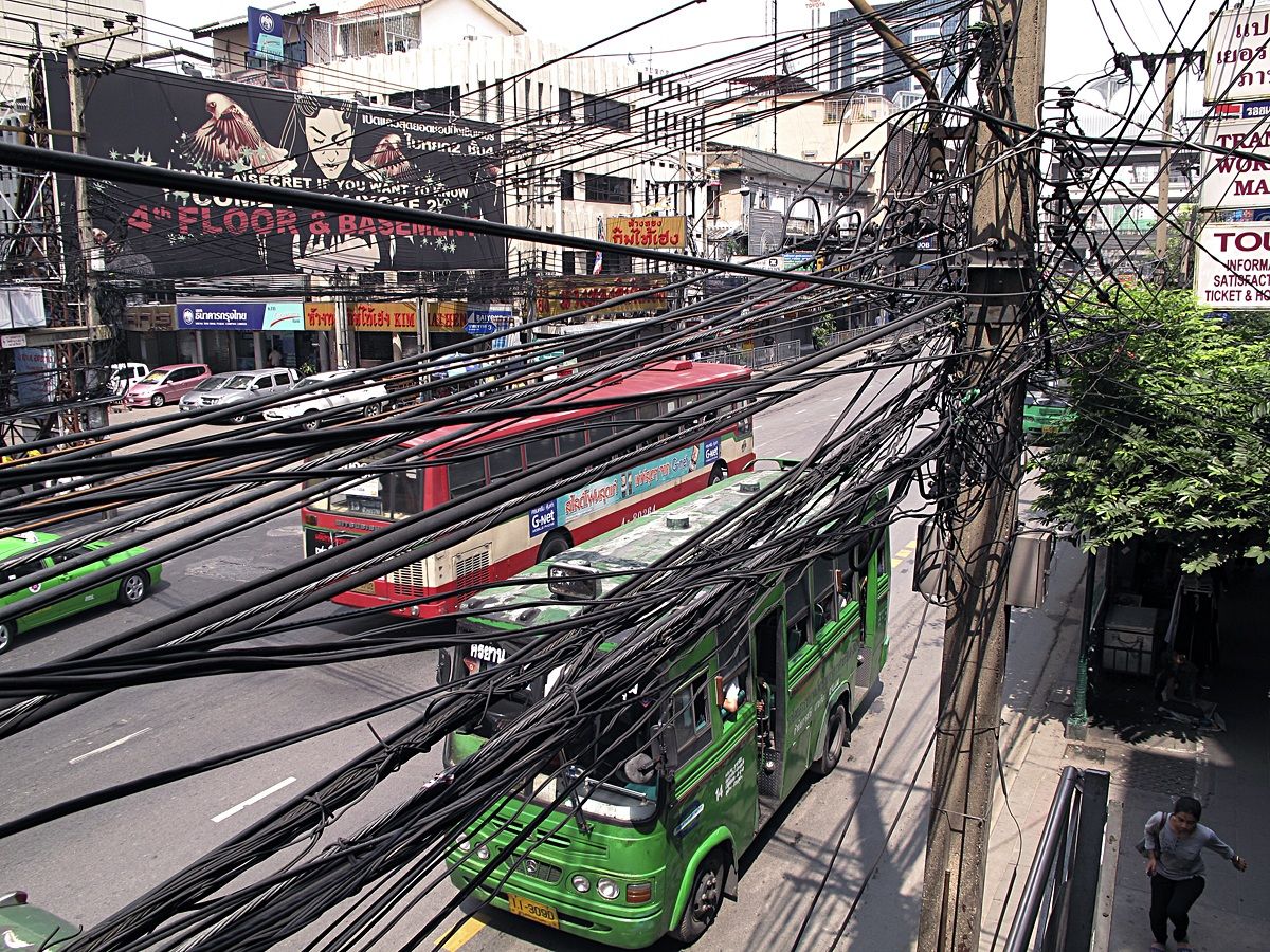 jungle mertopolitana