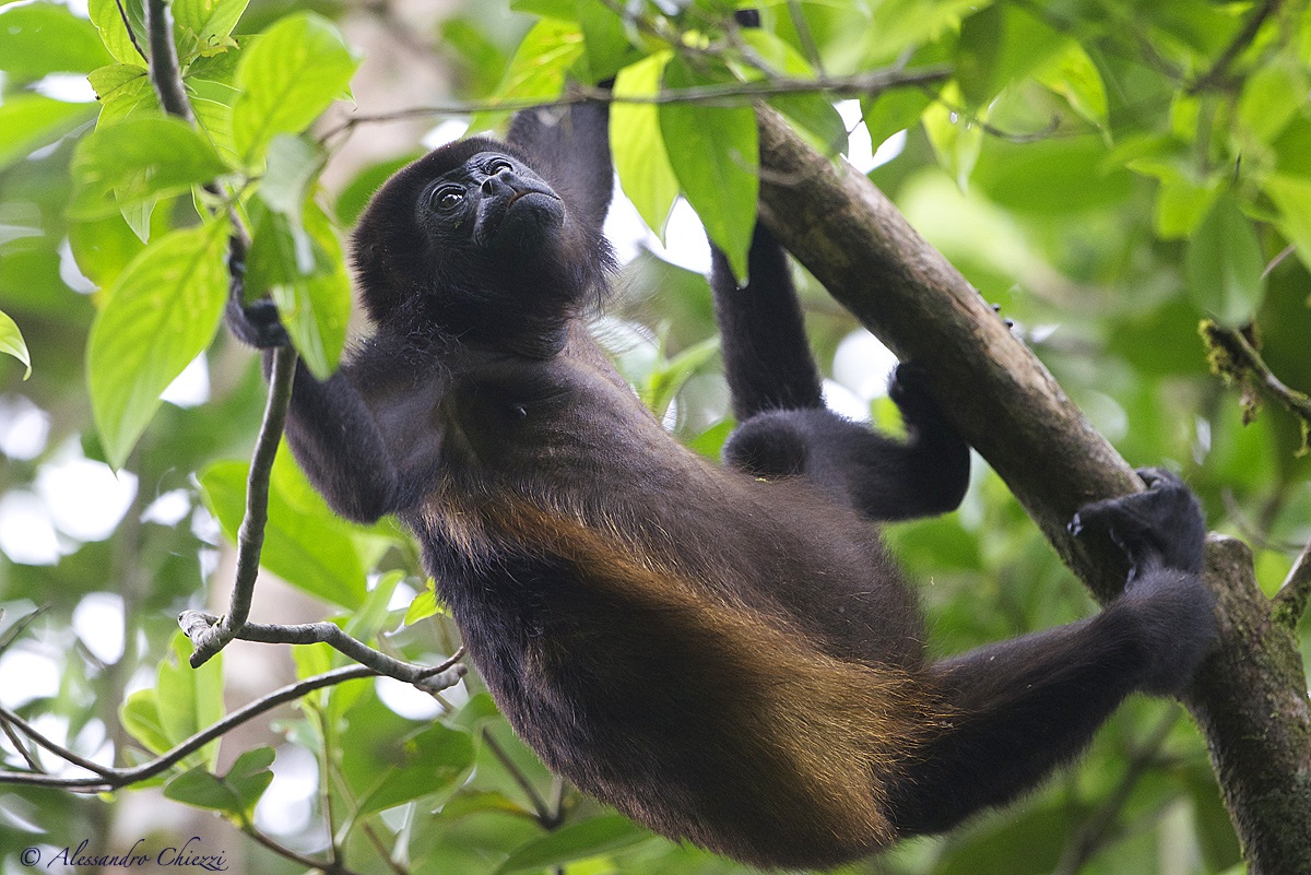 Pensieri in sospensione