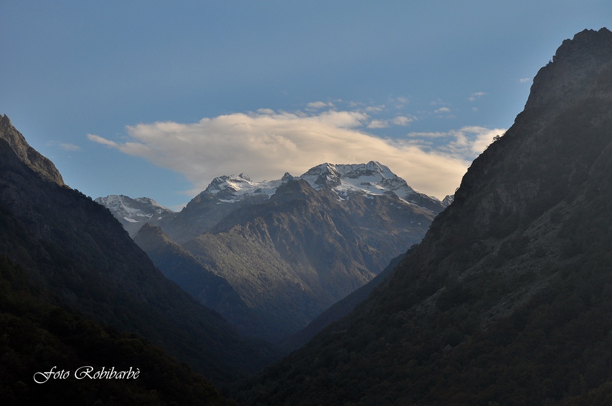 Gruppo... Gelas- Maledia