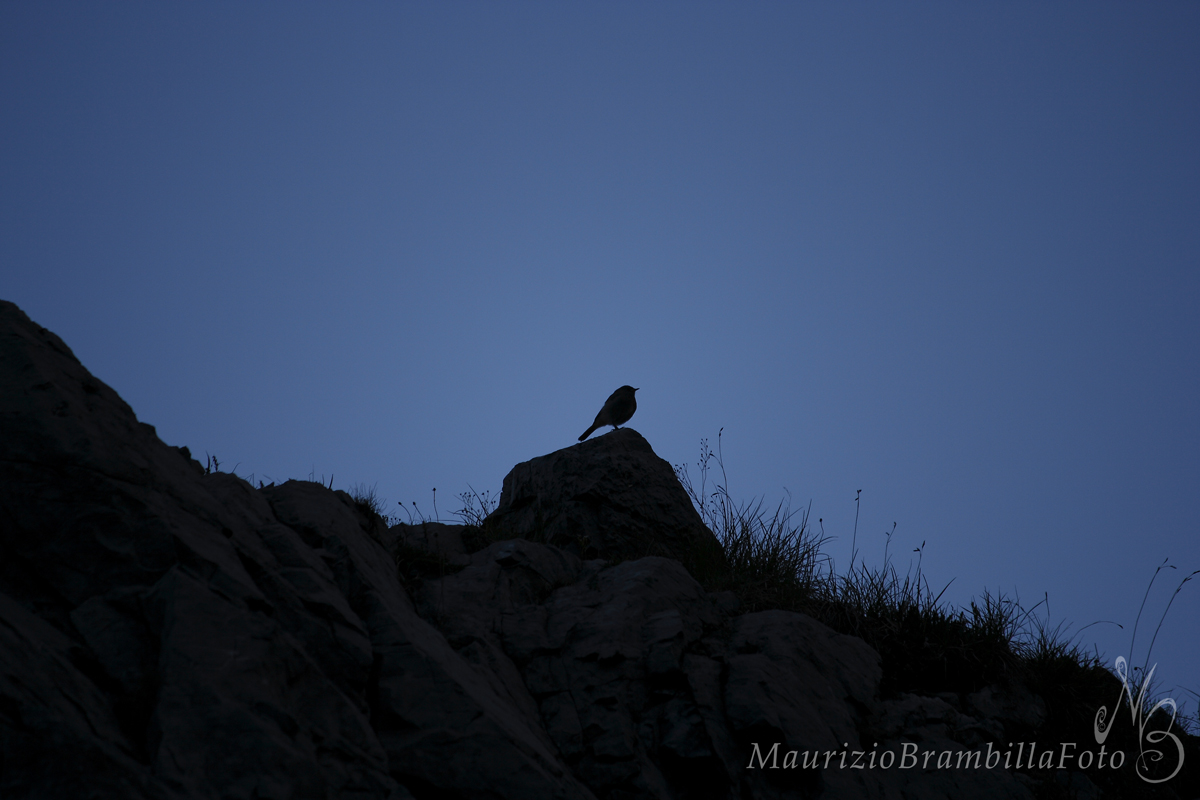 Just before sunrise ...