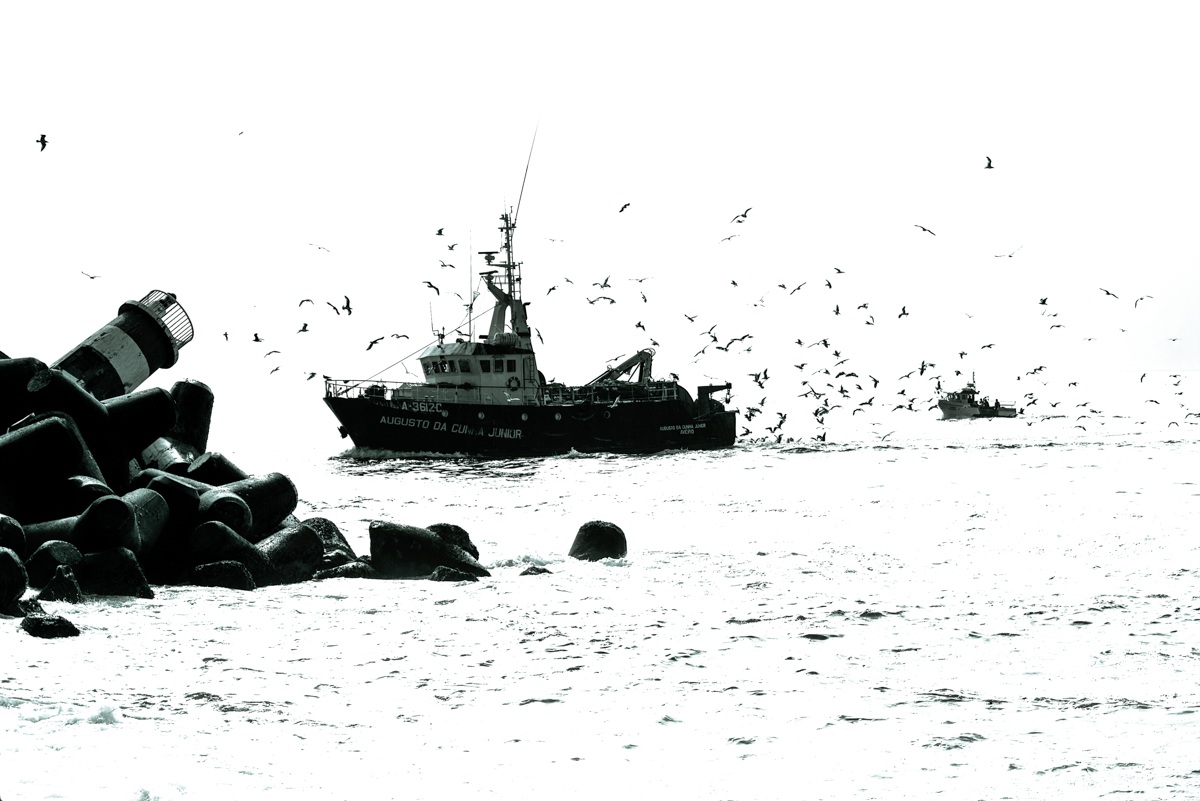 Il Ristorante dei Gabbiani Torna al Porto BN