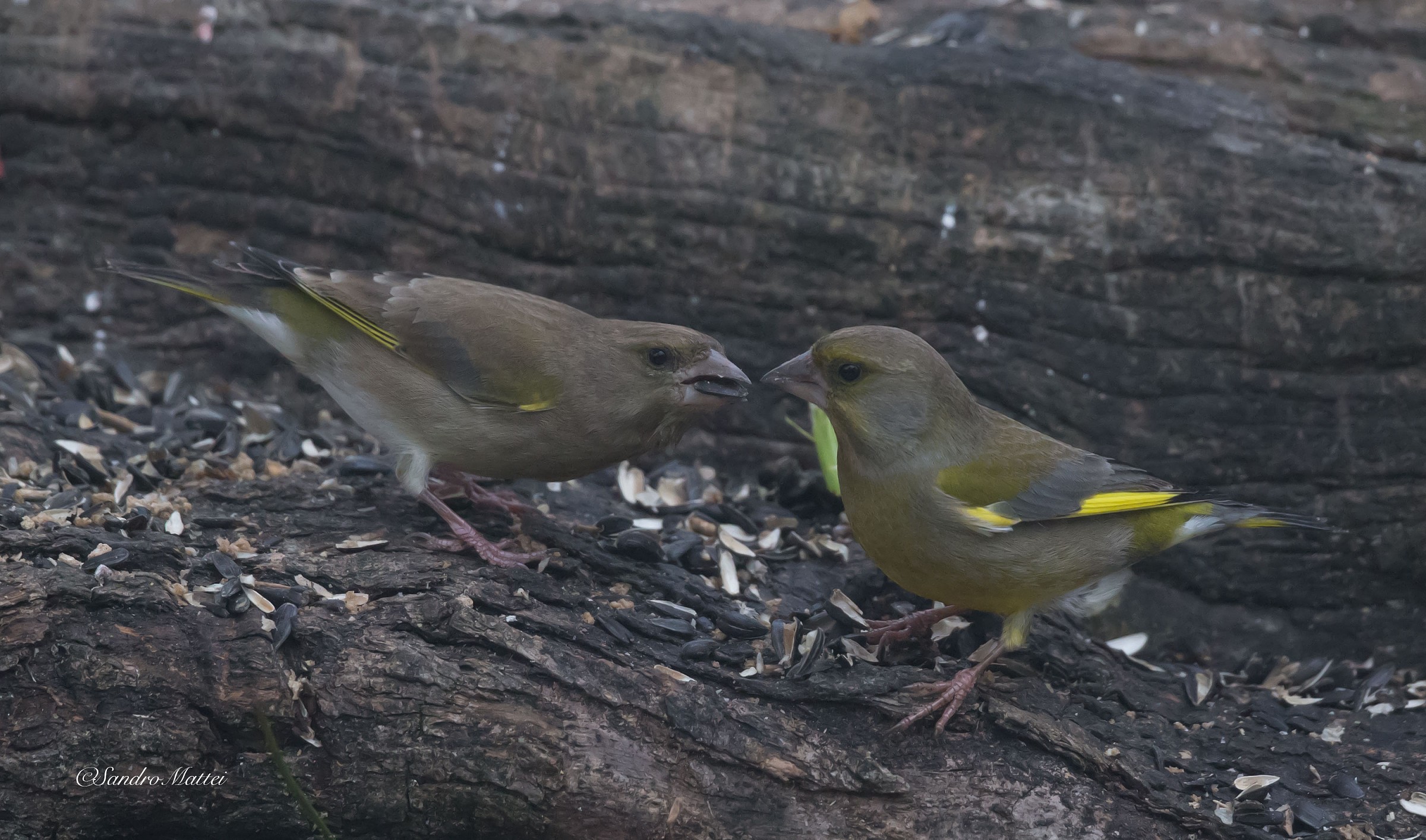 More ... in fact there .....