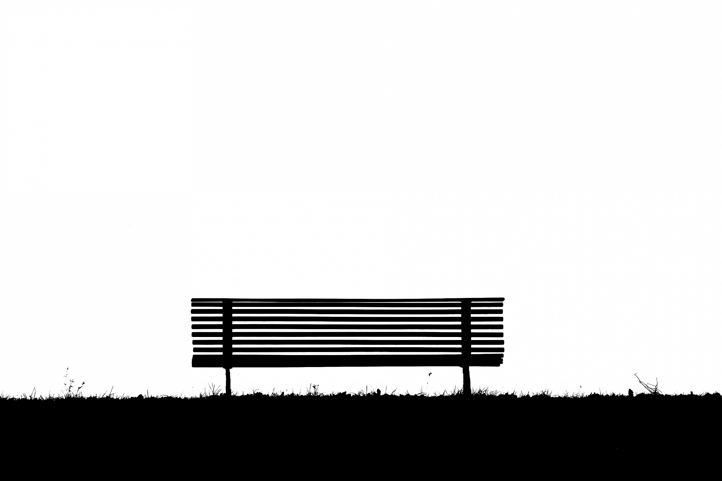 an afternoon behind a bench